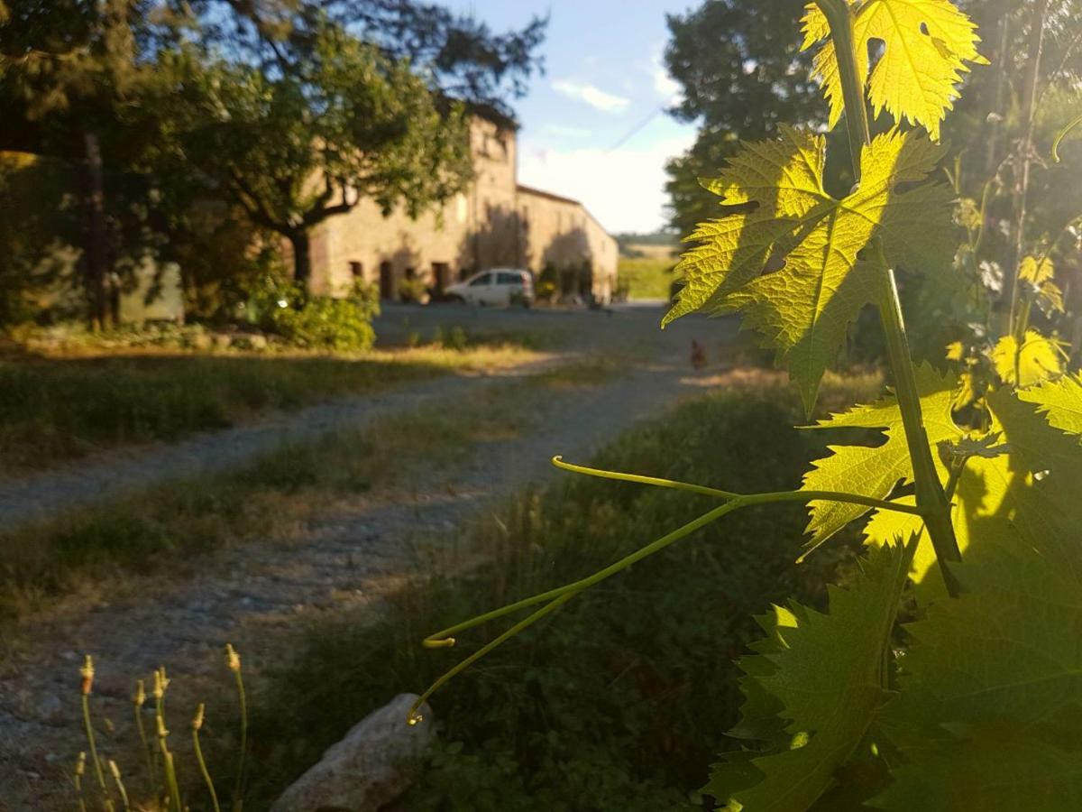 Agriturismo Podere Molino Peccioli Екстер'єр фото