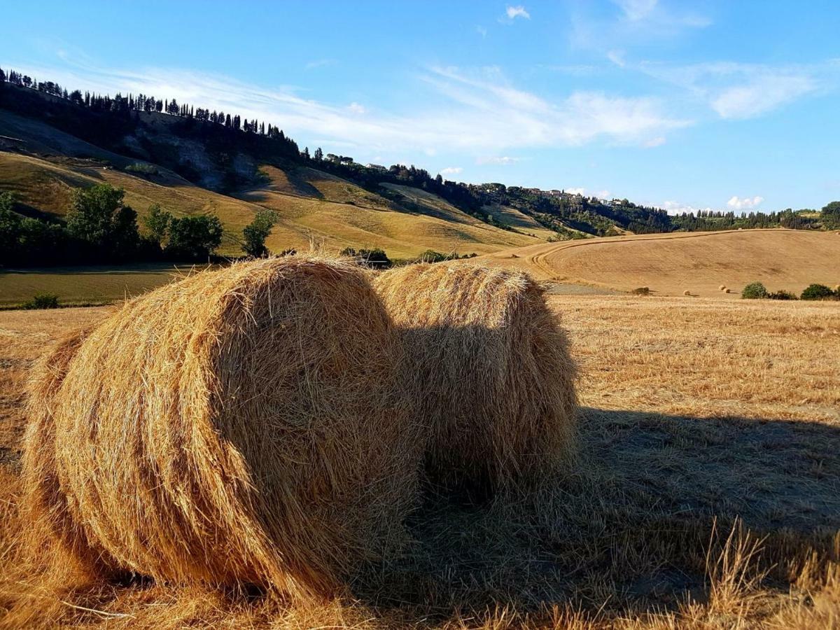 Agriturismo Podere Molino Peccioli Екстер'єр фото