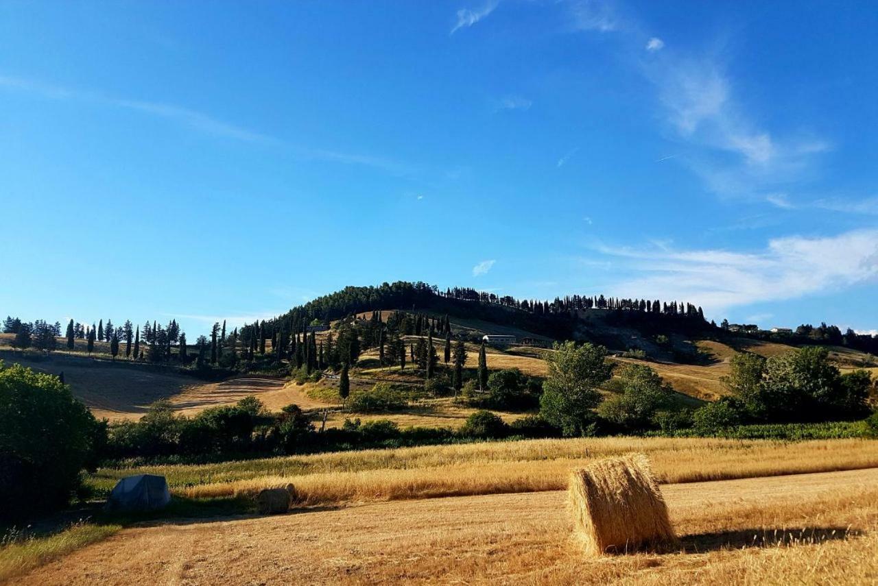 Agriturismo Podere Molino Peccioli Екстер'єр фото
