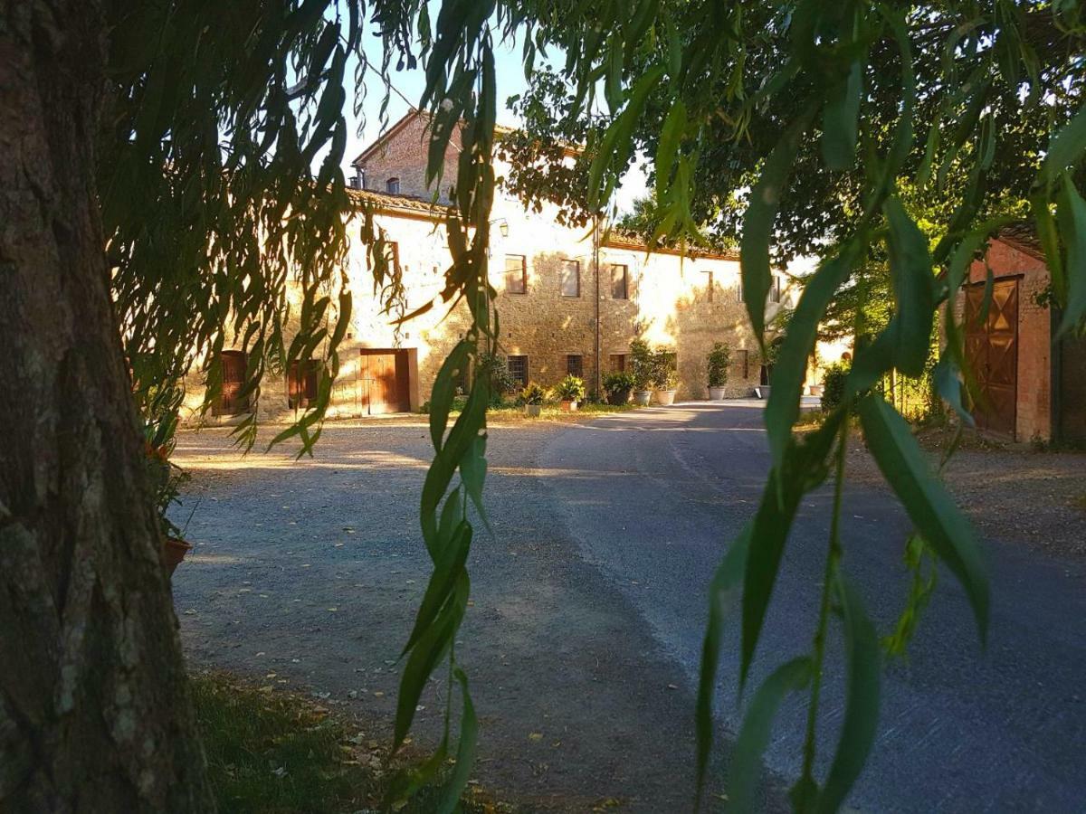 Agriturismo Podere Molino Peccioli Екстер'єр фото