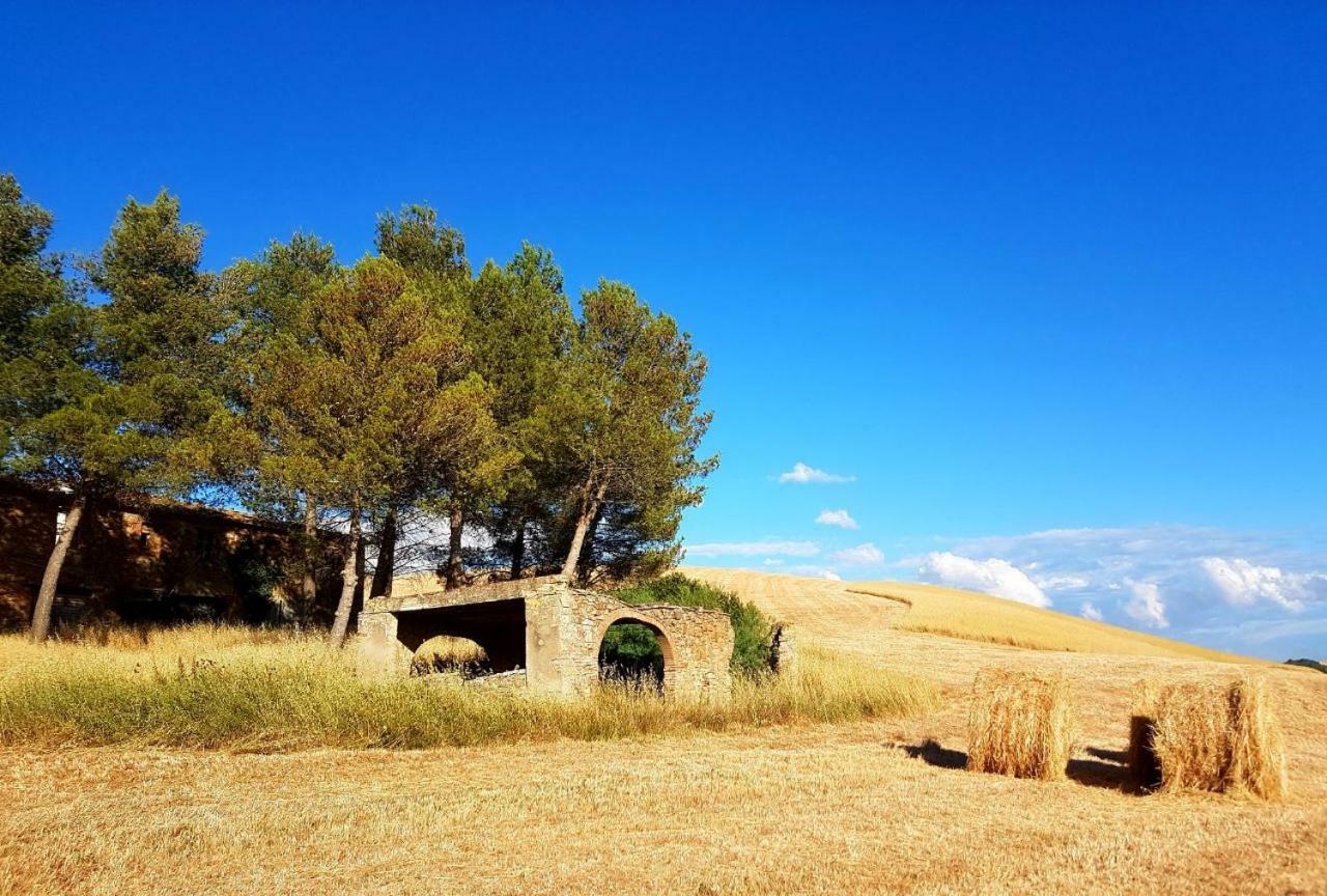 Agriturismo Podere Molino Peccioli Екстер'єр фото