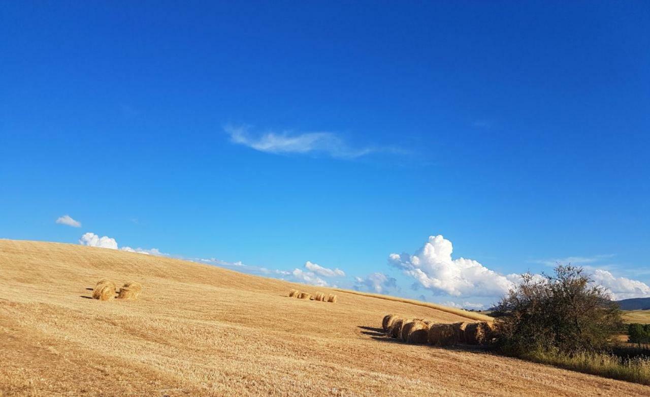 Agriturismo Podere Molino Peccioli Екстер'єр фото