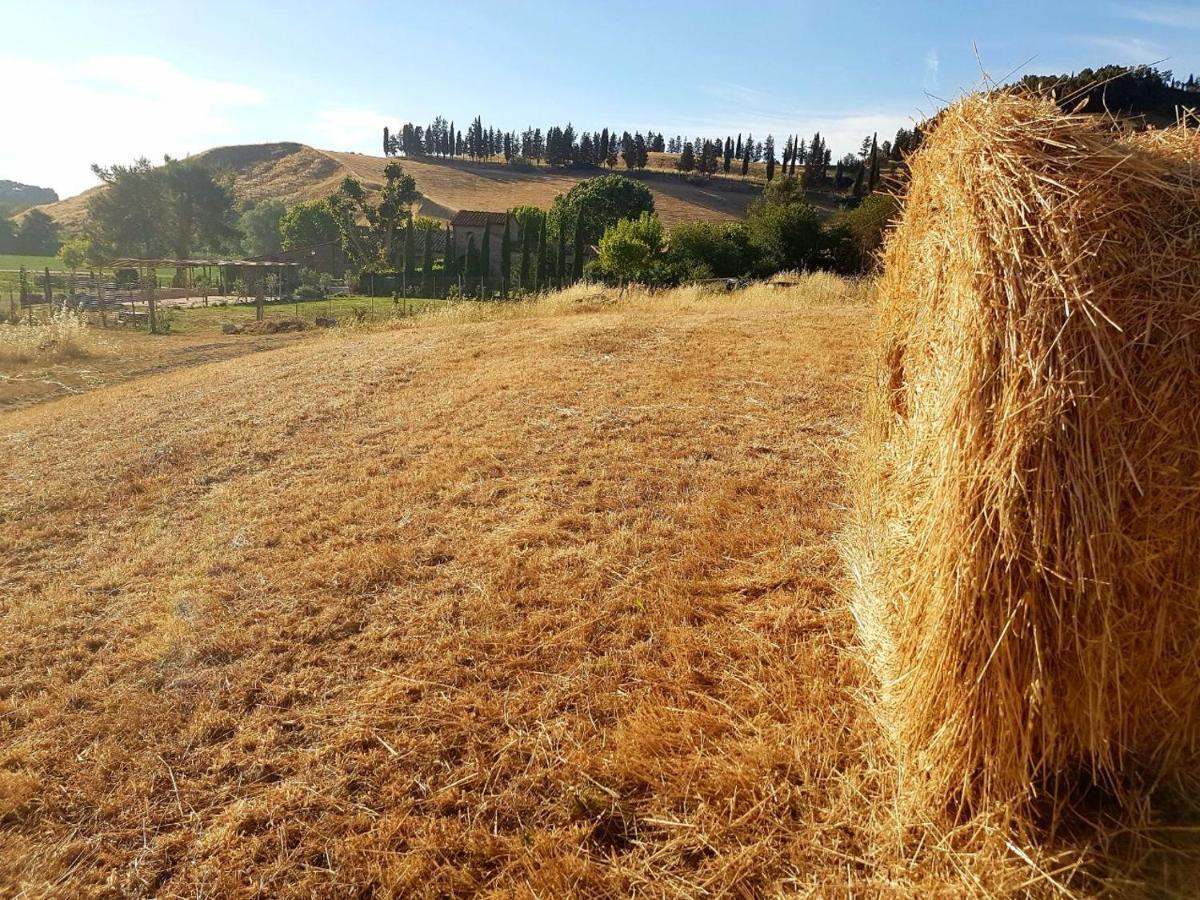 Agriturismo Podere Molino Peccioli Екстер'єр фото
