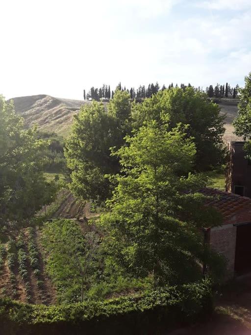 Agriturismo Podere Molino Peccioli Екстер'єр фото